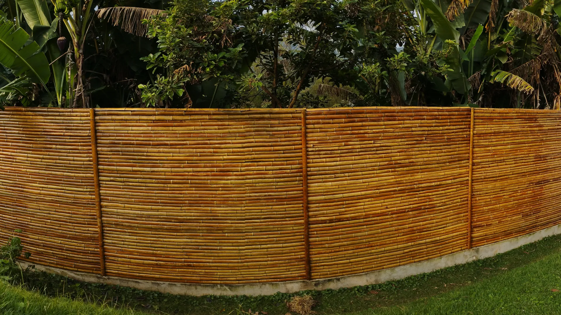 Forros e painéis de bambu premium